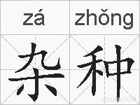 杂种的拼音