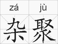 杂聚的拼音