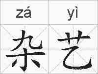 杂艺的拼音