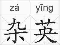 杂英的拼音