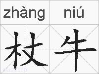 杖牛的拼音