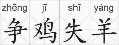 争鸡失羊的拼音