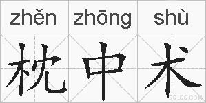 枕中术的拼音