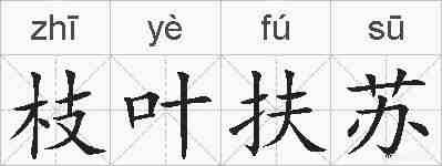 枝叶扶苏的拼音