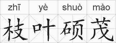 枝叶硕茂的拼音
