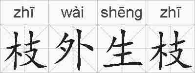 枝外生枝的拼音