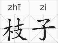 枝子的拼音