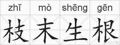 枝末生根的拼音