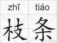枝条的拼音