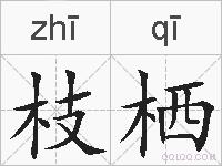枝栖的拼音