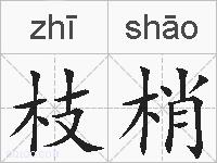 枝梢的拼音