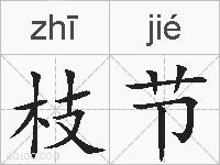 枝节的拼音