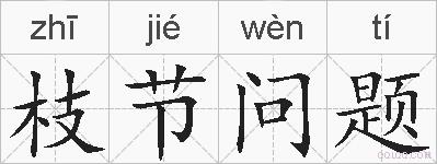 枝节问题的拼音