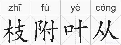 枝附叶从的拼音