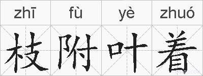 枝附叶着的拼音