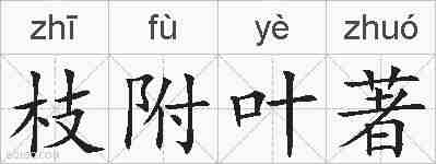 枝附叶著的拼音