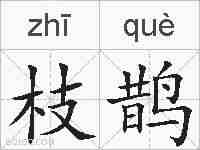 枝鹊的拼音