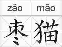 枣猫的拼音