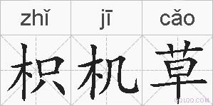 枳机草的拼音