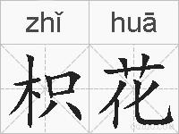 枳花的拼音