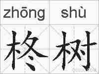 柊树的拼音