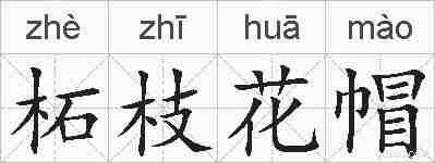 柘枝花帽的拼音