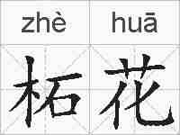 柘花的拼音