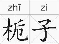 栀子的拼音