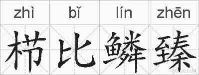 栉比鳞臻的拼音