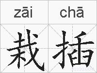 栽插的拼音