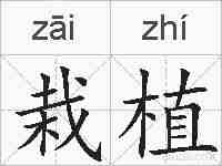 栽植的拼音
