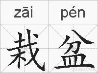 栽盆的拼音