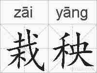 栽秧的拼音