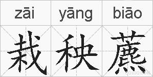 栽秧藨的拼音