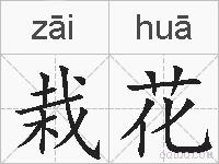 栽花的拼音