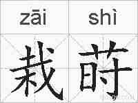栽莳的拼音