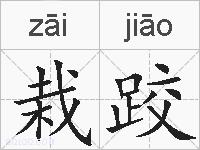 栽跤的拼音
