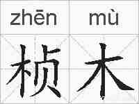 桢木的拼音