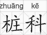 桩科的拼音