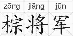 棕将军的拼音
