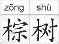 棕树的拼音