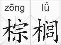 棕榈的拼音