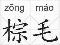 棕毛的拼音