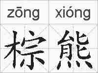 棕熊的拼音