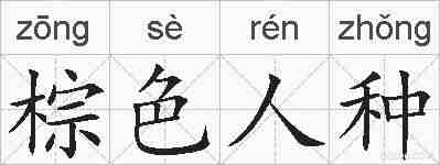 棕色人种的拼音