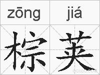 棕荚的拼音