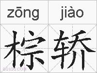 棕轿的拼音