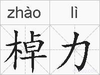 棹力的拼音