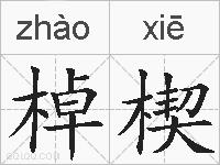 棹楔的拼音