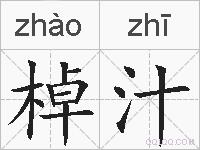 棹汁的拼音
